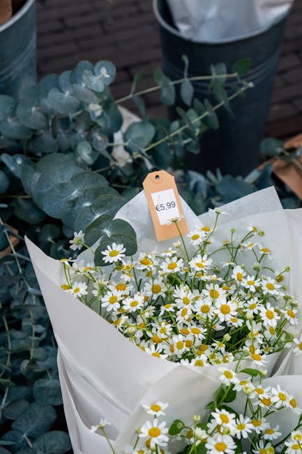 A bouquet of small white daisies with yellow centers, wrapped in white floral paper and tied with a string, is placed on a surface accompanied by a sprig of eucalyptus with silvery-blue rounded leaves