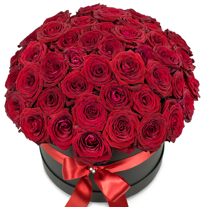 This elegant display highlights a sweeping bouquet of dozens of velvety red roses arranged with meticulous care by Motspur Park's seasoned floral team. The blooms, each with delicate, layered petals and intensely saturated crimson hues, are packed tightly together in a rounded, dome-like structure, lending the arrangement a sense of lush abundance and generosity. Set within a sleek matte black round hatbox, the flowers practically pour over the rim, showcasing their contrast with the container's muted finish. A brilliant satin ribbon in radiant red is wrapped around the box and tied into a classically elegant bow, its centre adorned with a sparkling crystal ornament that adds a refined touch of glamour. The entire piece sits against a luminous white background, bringing every velvety petal and glossy ribbon into sharp focus. Soft shadows and subtle highlights reflect the careful artistry involved-each element thoughtfully designed for maximum impact. Residents of Motspur Park may recall the gentle scent of roses drifting from local gardens or special moments celebrated along Grand Drive when receiving such a gift. This graceful, high-end arrangement is ideal for expressing profound affection or marking milestones with loved ones, available for same-day delivery from Motspur Park throughout Wimbledon and New Malden.