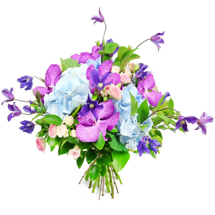 Photographed against a pristine white background, this bouquet feels like a piece of floral art created in a Motspur Park workshop for a cherished occasion. At the heart of the design, large, rounded clusters of soft sky-blue hydrangeas form a lush, cushiony base. Their many small petals overlap like tiny folded fans, giving the bouquet a full, cloud-like presence. Threaded between these cool blue mounds, vivid fuchsia and deep purple orchids, likely of the Vanda or Phalaenopsis family, provide striking contrast. Their broad petals are patterned with delicate speckles and veins, creating an almost luminous, jewel-tone effect that instantly elevates the composition. Nestled gently among these statement blooms are miniature roses in shades of blush pink and creamy white, their compact, layered petals offering a softer, more intimate touch that evokes classic romance and quiet gestures of love. Rising above and drifting outward, slender stems of deep purple clematis, with their star-shaped or bell-like flowers, add vertical interest and a sense of movement, like climbing vines along fences and garden walls around Motspur Park. The entire arrangement is cradled by layers of lush green foliage: broad, shiny leaves that catch the light and finer greenery that adds texture and depth. At the bottom, the stems are neatly bundled and tied, giving a glimpse of the professional skill behind the design. Soft, even lighting illuminates the bouquet, emphasising the richness of the blues, purples, pinks, and greens. The overall impression is of elegance and thoughtful care, making this bouquet perfect for weddings, anniversaries, or a refined flower delivery to homes and workplaces in and around Motspur Park.