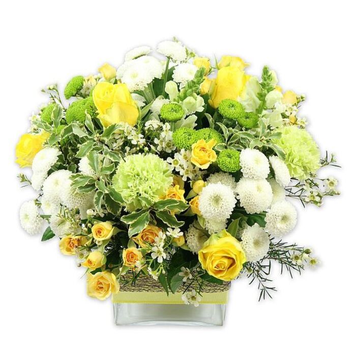 A lush, rounded flower arrangement brimming with sunny yellows, tranquil whites, and lively greens is displayed in a clear, rectangular glass vase, placed against a pure white background so the composition appears crisp and modern. The focal blooms are rich yellow roses, their petals velvety and layered in graceful spirals, joined by clusters of smaller yellow spray roses that weave through the centre, offering little bursts of colour and texture. Around these, white pompom chrysanthemums create a ring of soft, spherical blooms, each one dense with petals, giving the design body and a comforting, pillowy effect. Accents of lime green button chrysanthemums are scattered thoughtfully, tiny globes that catch the eye and echo the green tones of nearby foliage. Larger, frilly pale green blossoms-evoking ruffled carnations or decorative green mums-tuck into the spaces between, softening transitions and adding a subtly ruffled texture. The bouquet is surrounded by an assortment of greenery: broad variegated leaves edged in white, deeper green leaves for contrast, and wispy filler greens that extend outward, shaping the domed profile. Among the bigger flowers, you can pick out small, star-like white filler flowers that lend a touch of lightness and delicacy, much like glimpses of blossom along the streets leading from Motspur Park towards New Malden in early spring. The stems are visible through the vase and neatly arranged, while the midsection of the glass is dressed with a rustic band of woven natural material, topped by a sleek lime green ribbon that ties the whole colour palette together. Crafted with care, this bouquet feels both joyful and soothing, a perfect centrepiece for a family gathering in Motspur Park or a thoughtful delivery to someone who deserves a bright, fresh surprise.