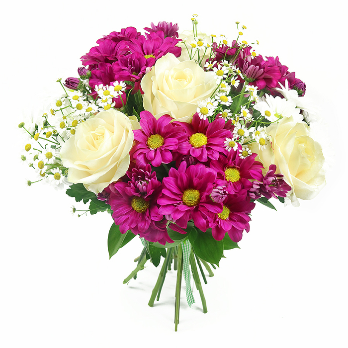 This image features a lush, rounded bouquet presented against a clear, brilliant white background, every detail visible as though it were being described in person at Florist Motspur Park. At the heart of the arrangement sit several prominent roses, fully opened and generously petalled, in a creamy white hue tinted with the faintest touch of pale yellow near their centres. Their petals fold and curl in layered spirals, giving each rose a soft, velvety texture and a timeless elegance. Embracing these central roses are abundant chrysanthemum blooms in vivid magenta and fuchsia shades, their daisy-like heads radiating around bright yellow-green centres that infuse the bouquet with immediate brightness and a lively contemporary feel. Interspersed between the larger flowers are fine sprays of petite white daisies, likely chamomile-style or feverfew, each tiny flower neatly formed with slender white petals and miniature yellow centres, adding lightness and a sense of countryside charm that echoes the quieter residential streets and green spaces of Motspur Park. Among the main blossoms, a few darker purple-pink chrysanthemum buds peek through, contributing additional layers and the suggestion of further colour just emerging. Lush, fresh green foliage surrounds and supports the flowers, its deeper greens providing contrast and grounding the composition. At the base, the stems are neatly aligned and bound with a green and white gingham ribbon, tied snugly to hold the bouquet together while giving it a friendly, handcrafted finish. The bright, even lighting emphasises the fullness of the arrangement and the natural sheen of the petals and leaves. Overall, this bouquet captures a feeling of joyful celebration and thoughtful care, perfect for gifting, celebrations, or simply brightening a Motspur Park home.